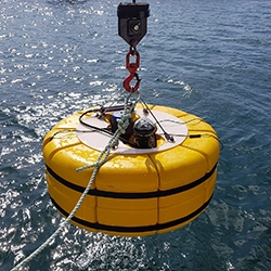 Dynamic Content Image