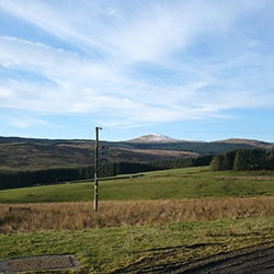 Dynamic Content Image