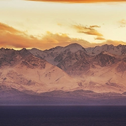 Dynamic Content Image