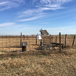 Dynamic Content Image