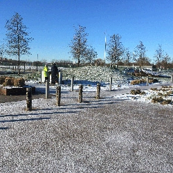 Dynamic Content Image